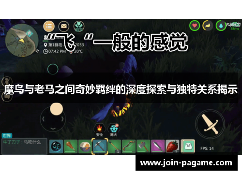 魔鸟与老马之间奇妙羁绊的深度探索与独特关系揭示