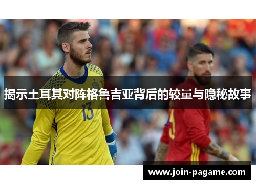 揭示土耳其对阵格鲁吉亚背后的较量与隐秘故事