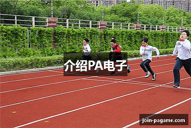 介绍PA电子